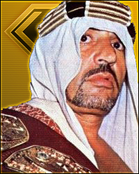 The Sheik || 