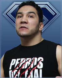   . || Perro Aguayo Jr.